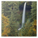 Zoek naar landschap tegels Noord