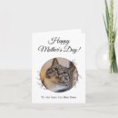 Zoek naar katten moeder kaarten Kat mama