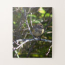 Zoek naar vogel puzzels Fotografie