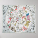 Zoek naar andreas cellarius posters 17th