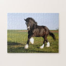 Zoek naar wild horse puzzels Wilde dieren