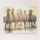 Zoek naar paarden puzzels Elk persoon