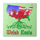 Zoek naar dragon tegels Welsh