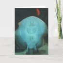 Zoek naar manta straal posters Aquarium