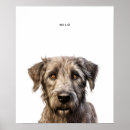 Zoek naar wolfshond posters Puppy