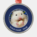 Zoek naar hamsters ornamenten Knaagdier