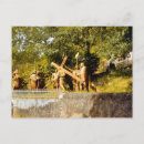 Zoek naar lourdes briefkaarten Jesus