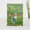 Zoek naar tuinman kaarten Voor haar