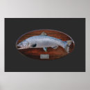 Zoek naar atlantische zalm posters Vis