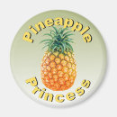 Zoek naar pineapple magneten Hawaï