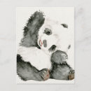 Zoek naar baby panda briefkaarten Dieren