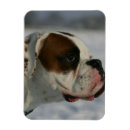 Zoek naar profiel kaarten Sneeuw