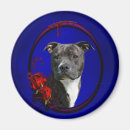 Zoek naar pitbull magneten Hond