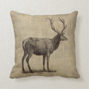 Zoek naar antilope kussens Dieren