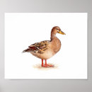 Zoek naar vrouwelijk posters Vogel