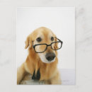 Zoek naar kantoor humor briefkaarten Hond