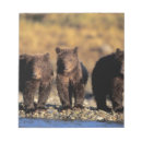 Zoek naar cubs notitieblokken Dier