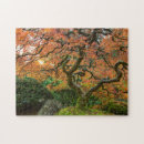 Zoek naar japanse esdoorn puzzels Portland