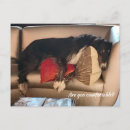 Zoek naar borzoi briefkaarten Canine