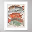 Zoek naar coral reef kunst Vintage