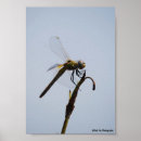Zoek naar wandelstok posters Elk persoon