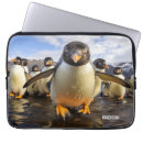 Zoek naar vogels laptop sleeves Koel
