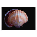 Zoek naar weekdier posters Voor iedereen