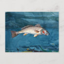 Zoek naar winslow briefkaarten Blauw