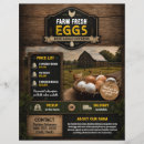 Zoek naar ei flyers Boerderij