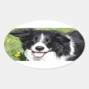 Zoek naar hond neus stickers Plezier
