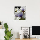 Zoek naar iris bloem posters Elk persoon