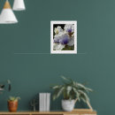 Zoek naar witte iris posters Voor iedereen