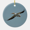 Zoek naar pelikaan ornamenten Natuur