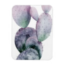 Zoek naar cactus magneten Bladeren