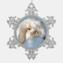 Zoek naar bruin konijn ornamenten Oosterkonijn