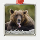 Zoek naar usa ornamenten Grappig