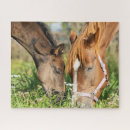 Zoek naar baby animal puzzels Schattige baby's