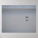 Zoek naar lang strand posters Voor iedereen