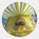 Zoek naar orchidee stickers Trouwstickers
