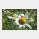 Zoek naar margriet bloem stickers Voor iedereen