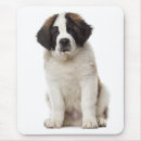 Zoek naar st bernard muismatten Puppy