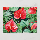Zoek naar anthurium briefkaarten Bloem