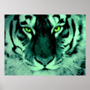 Zoek naar tijger ogen posters Tijgers