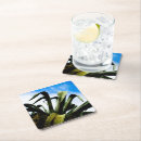 Zoek naar groen plant onderzetters Cactus