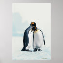 Zoek naar pinguin posters Liefde