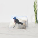 Zoek naar storm fotografie Winter