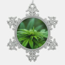 Zoek naar weed ornamenten Onkruid