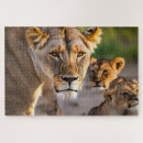 Zoek naar leeuwin puzzels Wild