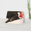 Zoek naar de van hondkerstmis kaarten Honden