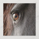 Zoek naar horseback uitnodigingen Paard